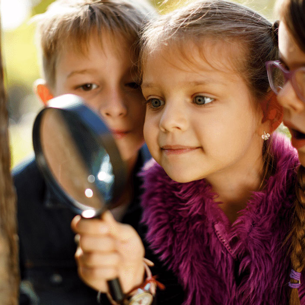 Haf - Brackenhurst Forest School 3-6 Aug 21